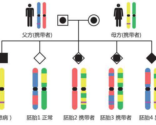 中国科学院深海科学与工程研究所2026年秋季招聘公告