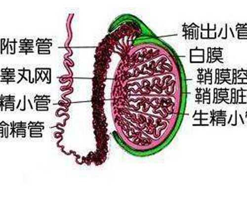 负债上百亿赴美买小家电龙头！九阳港股“再上市”新故事如何讲？
