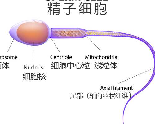房贷是如何计算出来的？终于有人把提前还贷4大技巧讲清楚了