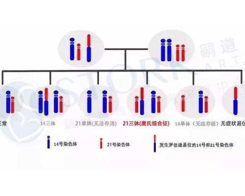 事关住房公积金提取！海南发布重要通知→