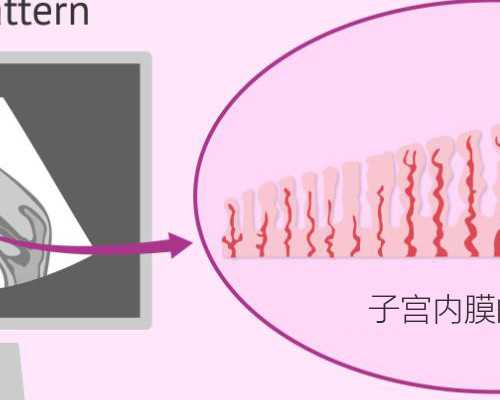 记录在成都富士康的工作经历