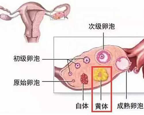 公积金提取又出新规