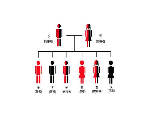 推进放管服改革 咸宁市清减公积金所有业务证明材料