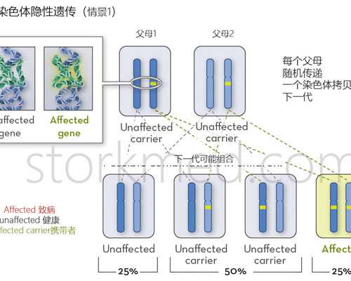 国内哪家医院供卵好,海南海口哪做三代试管婴儿成功率高！附试管省钱技巧！